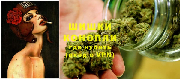 винт Абаза